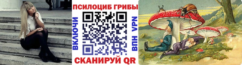 даркнет формула Берёзовка Псилоцибиновые грибы ЛСД магазин продажи наркотиков